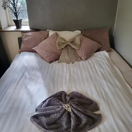 Homestay Tt Mansion *
